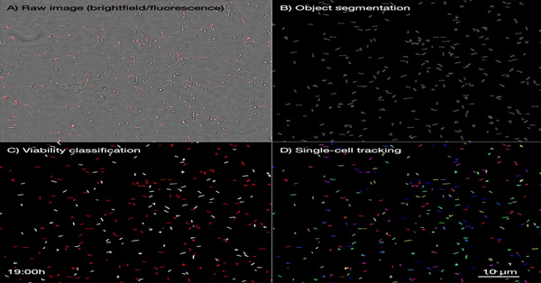 article primary image