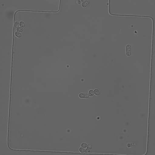 Quantitative Biological_image_2.jpg